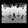 Arto Lindsay 7 Types of Ambiguity - A Parade
