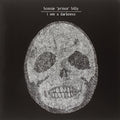 Bonnie Prince Billy I See A Darkness