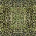 Luciano Sequentia Vol. 1