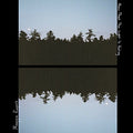 Maggie Rogers Now That The Light Is Fading (10" Vinyl)