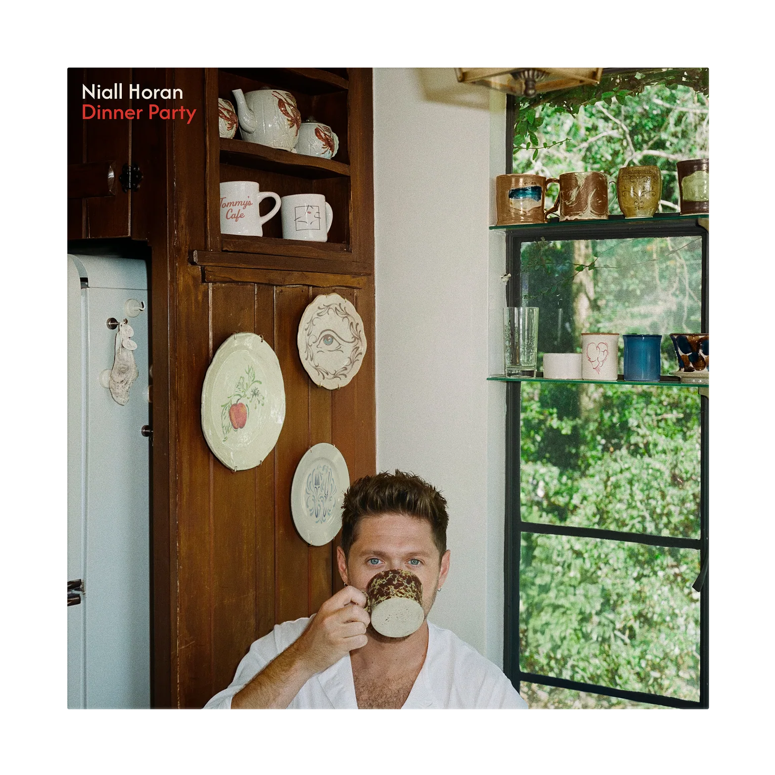 Niall Horan Dinner Party [Explicit Content] (Limited Edition, Signed, Porcelain Colored Vinyl, Alternative Edition)