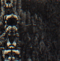 O MORTO The Forest, The People And The Spirits