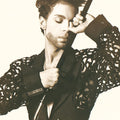 Prince The Hits 1 [Explicit Content] (150 Gram Vinyl) (2 Lp's)