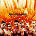 RAMMSTEIN Herzeleid (Limited Edition, 180 Gram Vinyl) (2 Lp's)