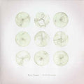 Ryan Teague Field Drawings