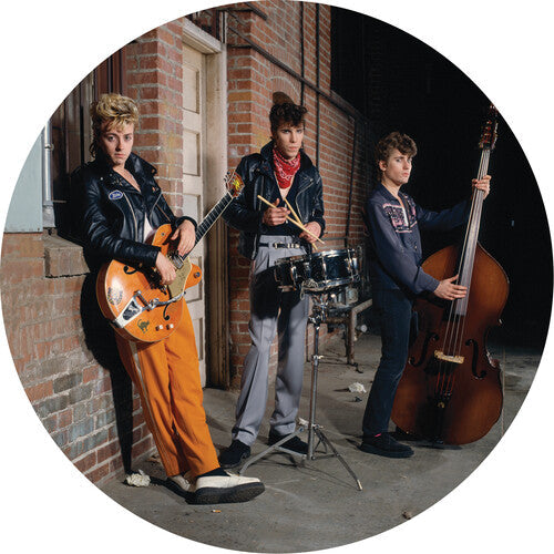 Stray Cats Live At The Roxy 1981 (Picture Disc Vinyl LP)