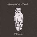 Trampled by Turtles Palomino
