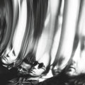 Ty Segall Chrome