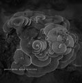YANNICK DAUBY Penghu Experimental Sound Studio Vol. 2